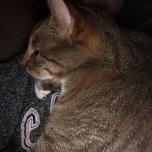 Meet your Posher, Ray